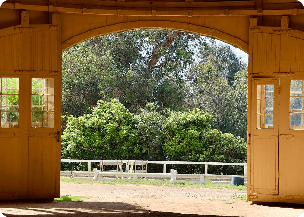 Wooden double garage doors under peaked roof.